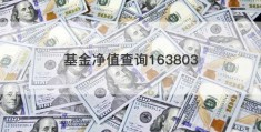 基金净值查询163803